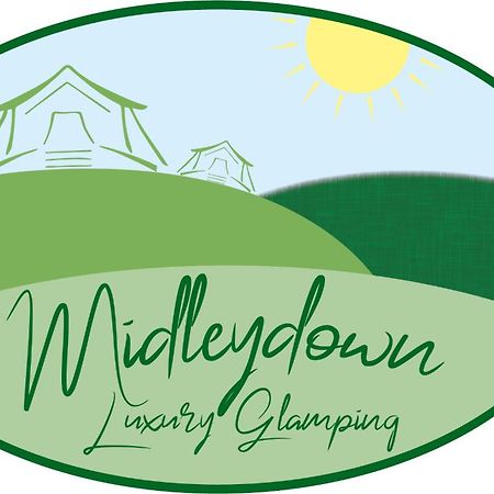 Midleydown Luxury Glamping Hotel Exeter Bagian luar foto