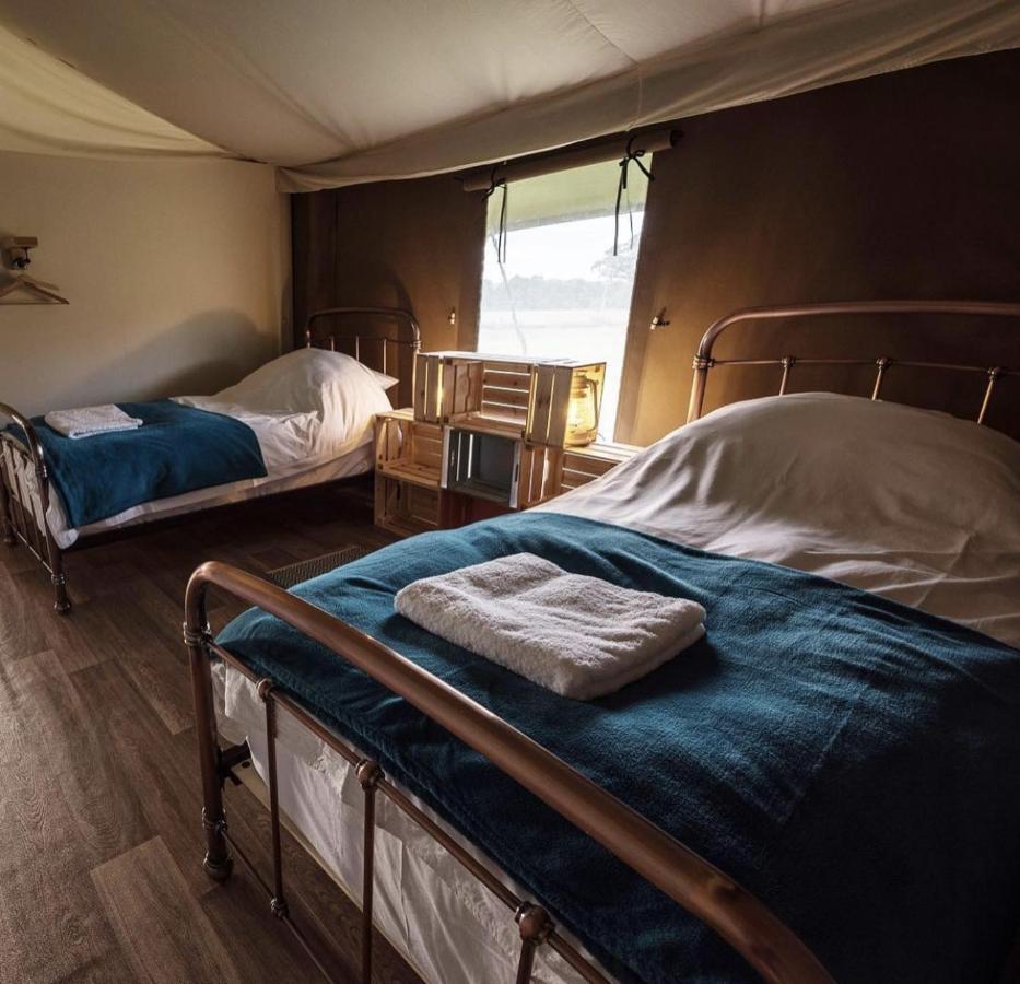 Midleydown Luxury Glamping Hotel Exeter Bagian luar foto