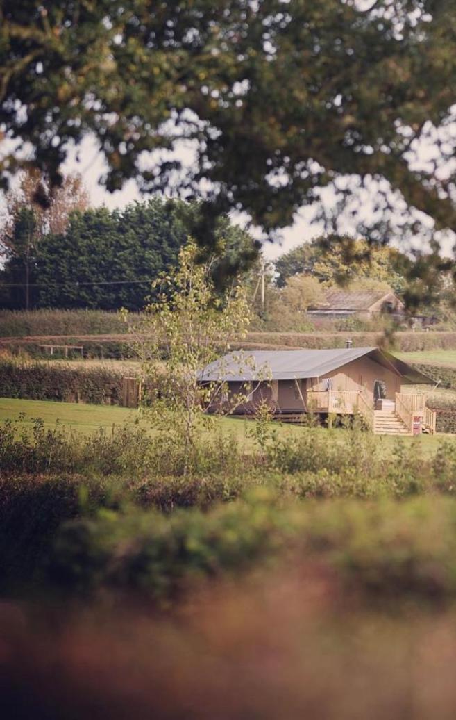 Midleydown Luxury Glamping Hotel Exeter Bagian luar foto